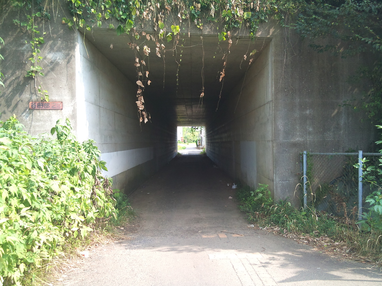 tunnel