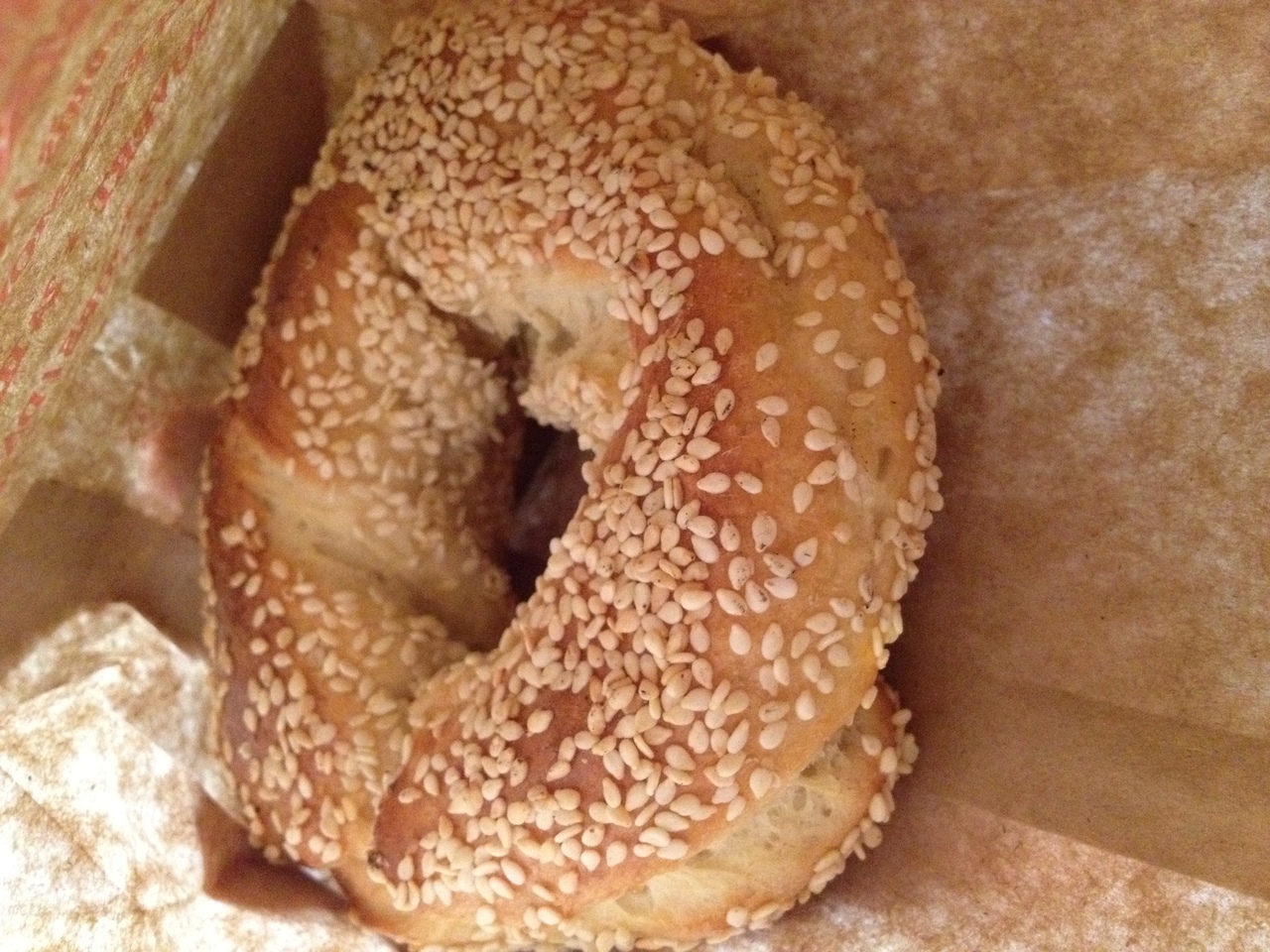 fairmout bagel