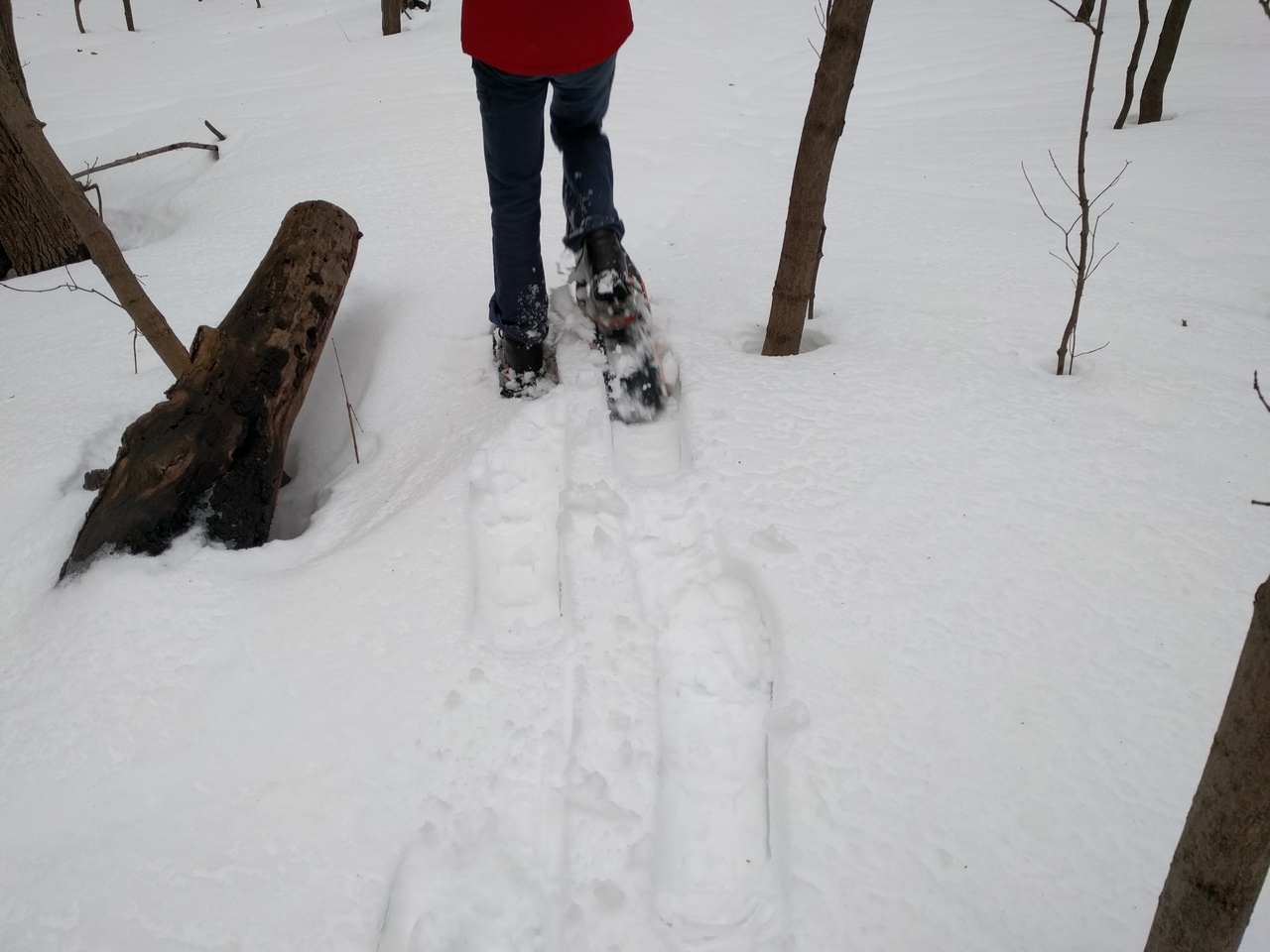 snowshoeing